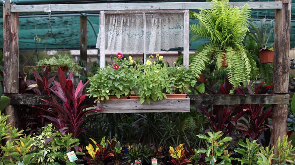 North Tivoli Nursery