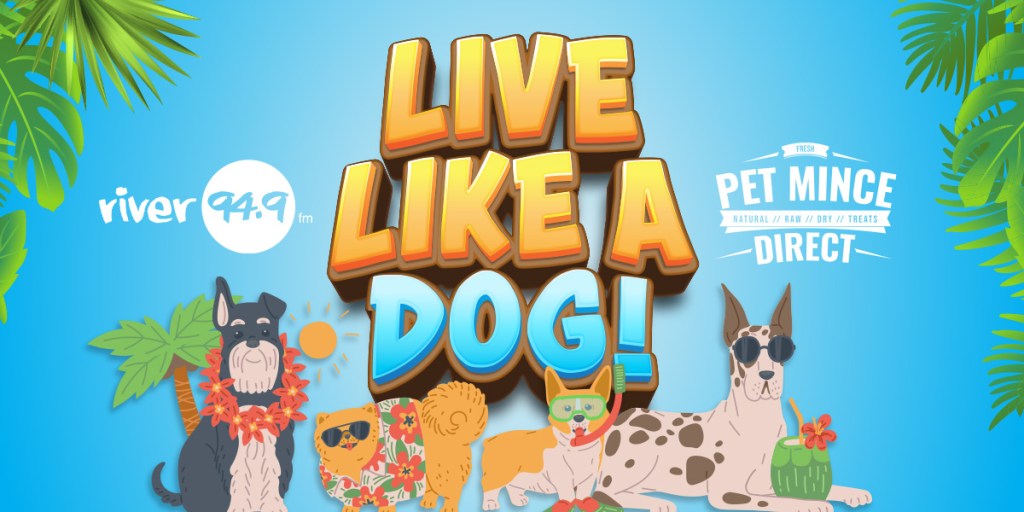 River 94.9’s Live like a Dog!